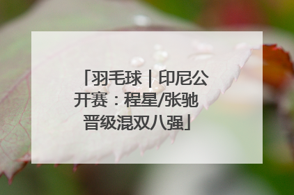 羽毛球｜印尼公开赛：程星/张驰晋级混双八强