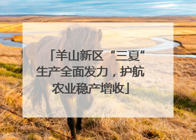 羊山新区“三夏”生产全面发力，护航农业稳产增收