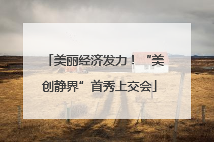 美丽经济发力！“美创静界”首秀上交会