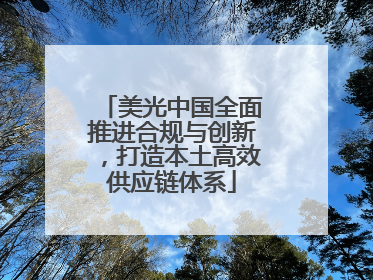 美光中国全面推进合规与创新，打造本土高效供应链体系
