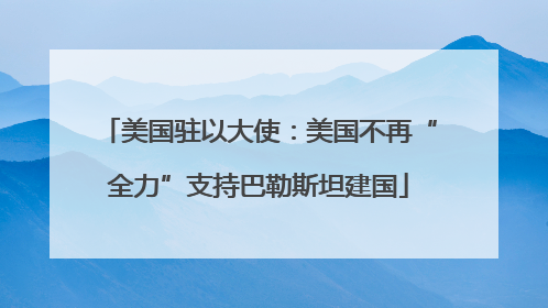 美国驻以大使：美国不再“全力”支持巴勒斯坦建国