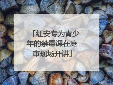 红安专为青少年的禁毒课在庭审现场开讲