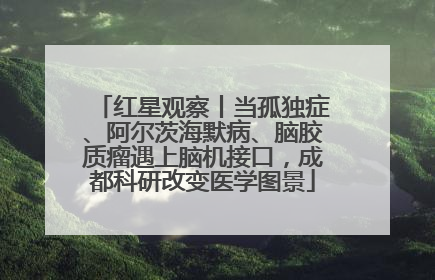 红星观察丨当孤独症、阿尔茨海默病、脑胶质瘤遇上脑机接口，成都科研改变医学图景