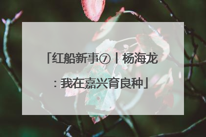 红船新事⑦丨杨海龙：我在嘉兴育良种