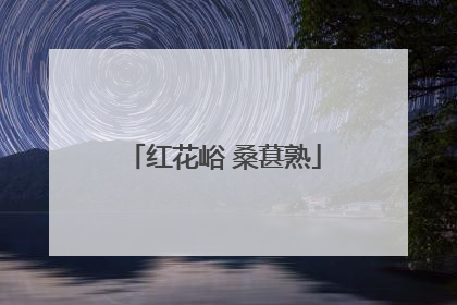 红花峪 桑葚熟