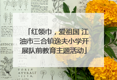 红领巾，爱祖国 江油市三合镇逸夫小学开展队前教育主题活动