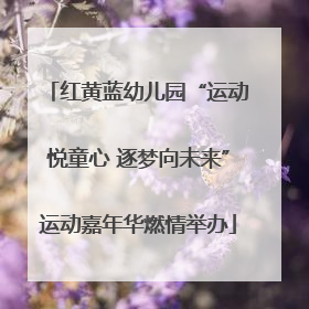 红黄蓝幼儿园“运动悦童心 逐梦向未来”运动嘉年华燃情举办