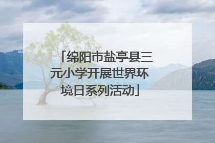 绵阳市盐亭县三元小学开展世界环境日系列活动