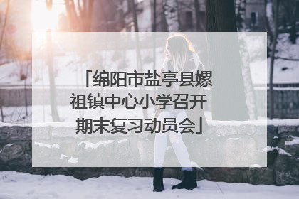 绵阳市盐亭县嫘祖镇中心小学召开期末复习动员会