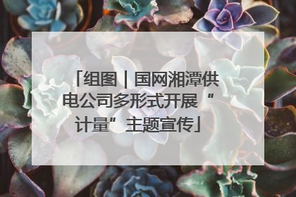 组图｜国网湘潭供电公司多形式开展“计量”主题宣传