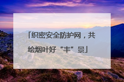 织密安全防护网，共绘烟叶好“丰”景