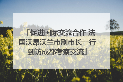 促进国际交流合作 法国沃昂沃兰市副市长一行到访成都考察交流