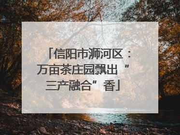 信阳市浉河区：万亩茶庄园飘出“三产融合”香