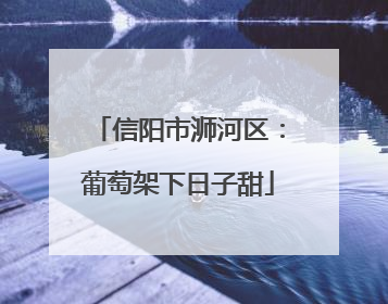 信阳市浉河区：葡萄架下日子甜