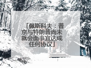 佩斯科夫：普京与特朗普尚未就会面事宜达成任何协议