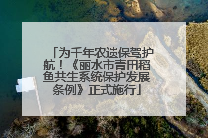 为千年农遗保驾护航！《丽水市青田稻鱼共生系统保护发展条例》正式施行