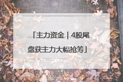 主力资金｜4股尾盘获主力大幅抢筹