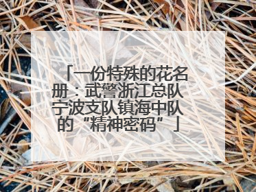一份特殊的花名册：武警浙江总队宁波支队镇海中队的“精神密码”