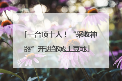 一台顶十人！“采收神器”开进邹城土豆地