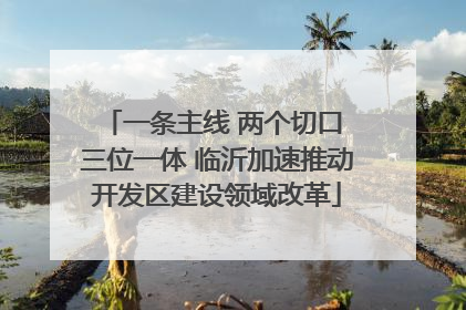 一条主线 两个切口 三位一体 临沂加速推动开发区建设领域改革