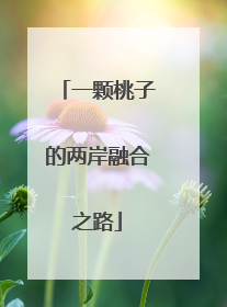 一颗桃子的两岸融合之路