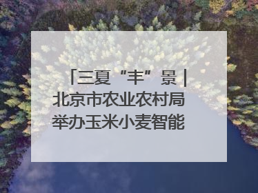 三夏“丰”景｜北京市农业农村局举办玉米小麦智能农机装备推广“田间日”活动