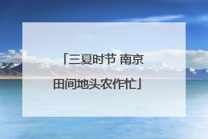 三夏时节 南京田间地头农作忙