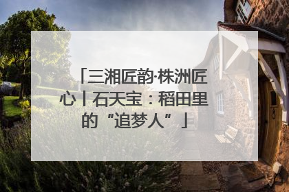 三湘匠韵·株洲匠心丨石天宝：稻田里的“追梦人”