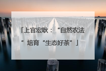 上官宏耿：“自然农法”培育“生态好茶”