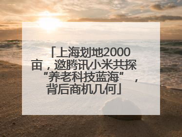 上海划地2000亩，邀腾讯小米共探“养老科技蓝海”，背后商机几何
