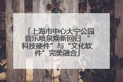 上海市中心大宁公园音乐喷泉焕新回归 “科技硬件”与“文化软件”完美融合