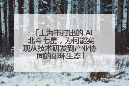 上海市打出的 AI 北斗七星，为何能实现从技术研发到产业协同的闭环生态