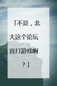 不是，北大这个论坛真打游戏啊？