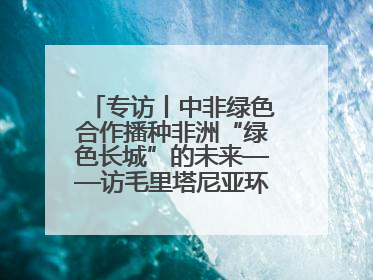 专访丨中非绿色合作播种非洲“绿色长城”的未来——访毛里塔尼亚环境部长拉格达夫
