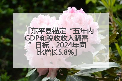 东平县锚定“五年内GDP和税收收入翻番”目标，2024年同比增长5.8%