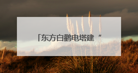 东方白鹳电塔建“产房” “陕电入皖”架线延工期