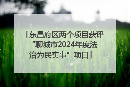 东昌府区两个项目获评“聊城市2024年度法治为民实事”项目