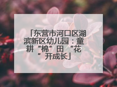 东营市河口区湖滨新区幼儿园：童耕“棉”田 “花”开成长
