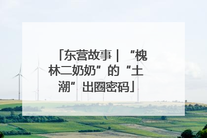 东营故事｜“槐林二奶奶”的“土潮”出圈密码