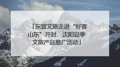 东营文旅走进“好客山东”开封、沈阳夏季文旅产品推广活动