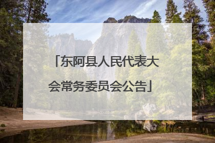 东阿县人民代表大会常务委员会公告