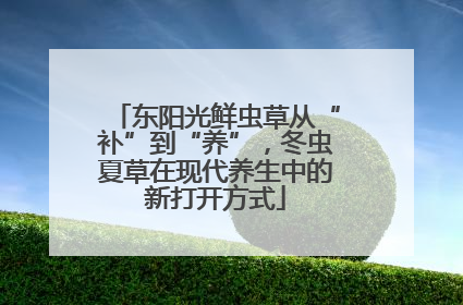 东阳光鲜虫草从“补”到“养”，冬虫夏草在现代养生中的新打开方式