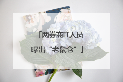 两券商IT人员曝出“老鼠仓”