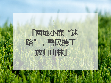 两地小鹿“迷路”，警民携手放归山林