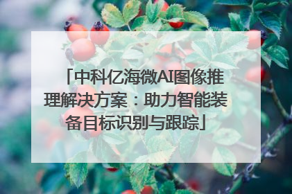 中科亿海微AI图像推理解决方案：助力智能装备目标识别与跟踪