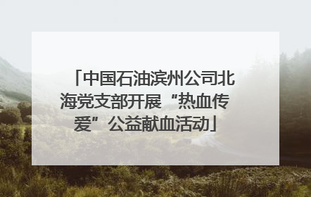 中国石油滨州公司北海党支部开展“热血传爱”公益献血活动