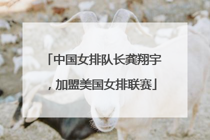 中国女排队长龚翔宇，加盟美国女排联赛