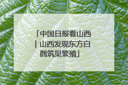 中国日报看山西｜山西发现东方白鹳筑巢繁殖