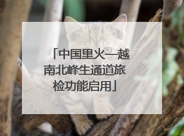 中国里火—越南北峰生通道旅检功能启用