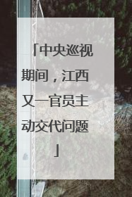 中央巡视期间，江西又一官员主动交代问题